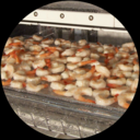 4 lb Shrimp being sanitized